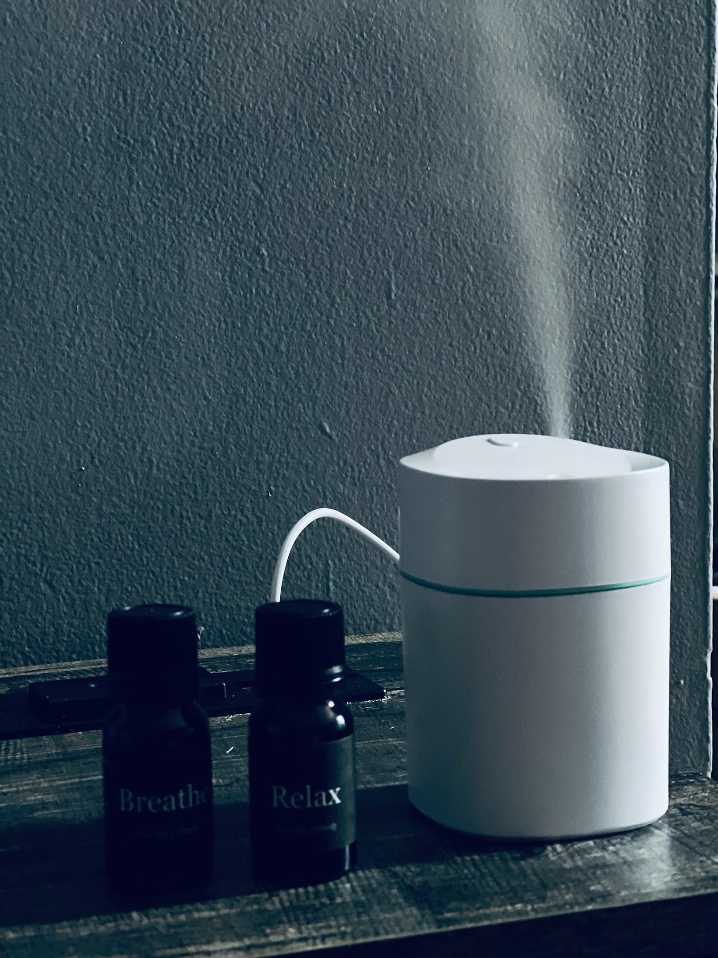 Ultrasonic Scent Buster/Humidifier Set